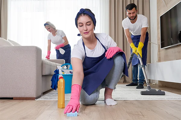 house cleaning ashfield